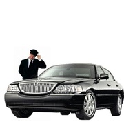 Miami Limousine Service for Sale