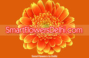 SmartFlowersDelhi.Com announces gift ideas for all season events in De
