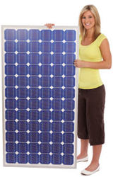 Green Business  ( Guarente )