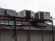 Western KY (Paducah) Auction