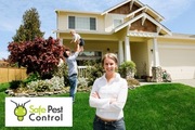 Pest control castle hill