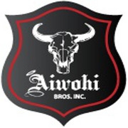 Cost-Effective Equipment Hauling in Honolulu