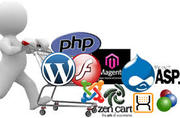 Website Development Services in USA
