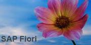 SAP Fiori