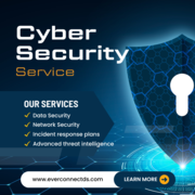 Comprehensive Cyber Security Solutions | Everconnect