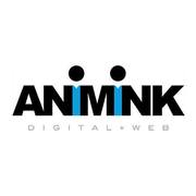 Digital Marketing Company in Charlotte,  North Carolina - Animink